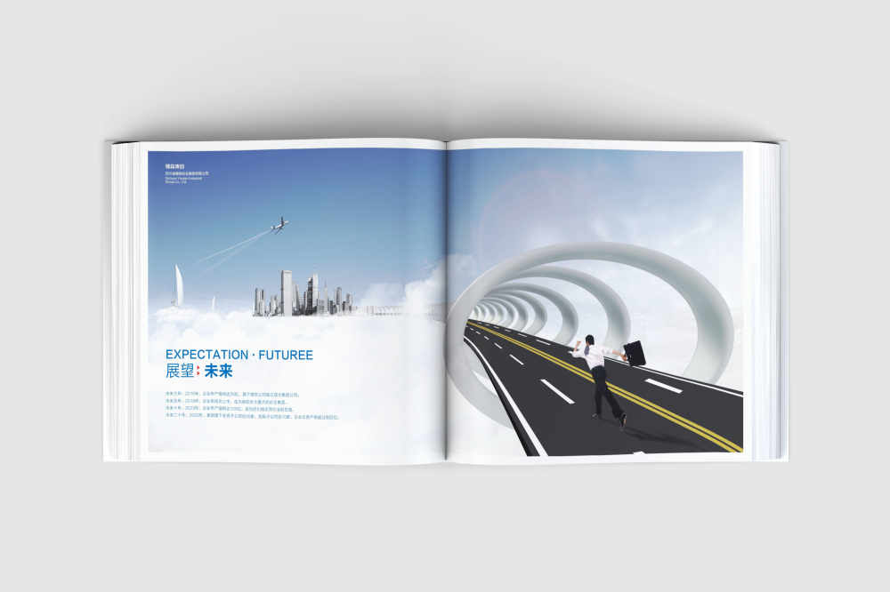 东营区画册设计